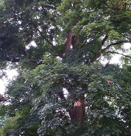 Ferienhaus Le Manoir De Crisolles