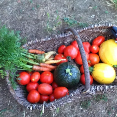 Ferienhaus Le Manoir De *